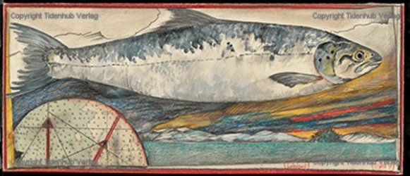 Salmon Land